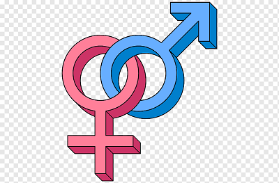 Male inclusivity in gender roles
