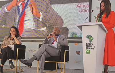 Shelter Afrique roots for climate-resilient affordable housing at the Africa Climate Summit