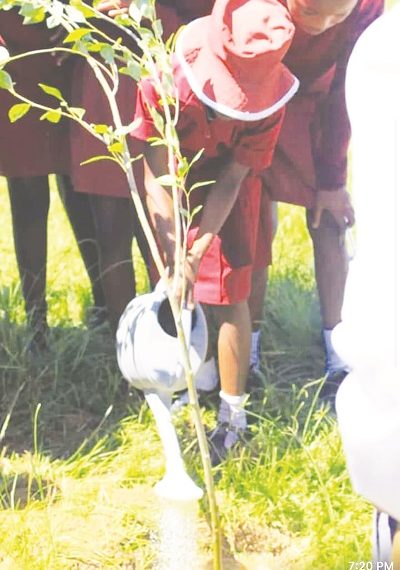 Youth Led Organization kicks off tree planting project